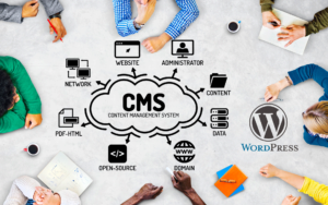 Что такое CMS и где она используется 3 делаем CMS