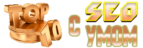 Логотип сайта "СЕО с умом"